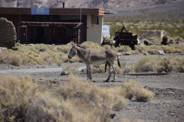 DSC_0022.JPG